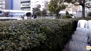 不卡人妻无码av中文系列